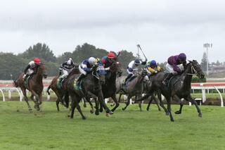 Dijon Bleu takes the lead in the Group 2 Cambridge Stud Sir Tristram Fillies’ Classic. Photo: Trish Dunell